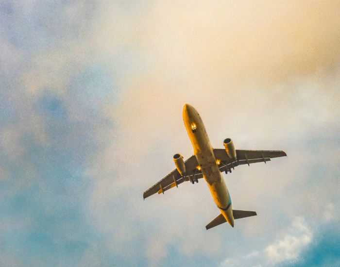 Droit du séjour et de travail des sportifs pros étrangers en France – Cadre juridique – Support DGEF