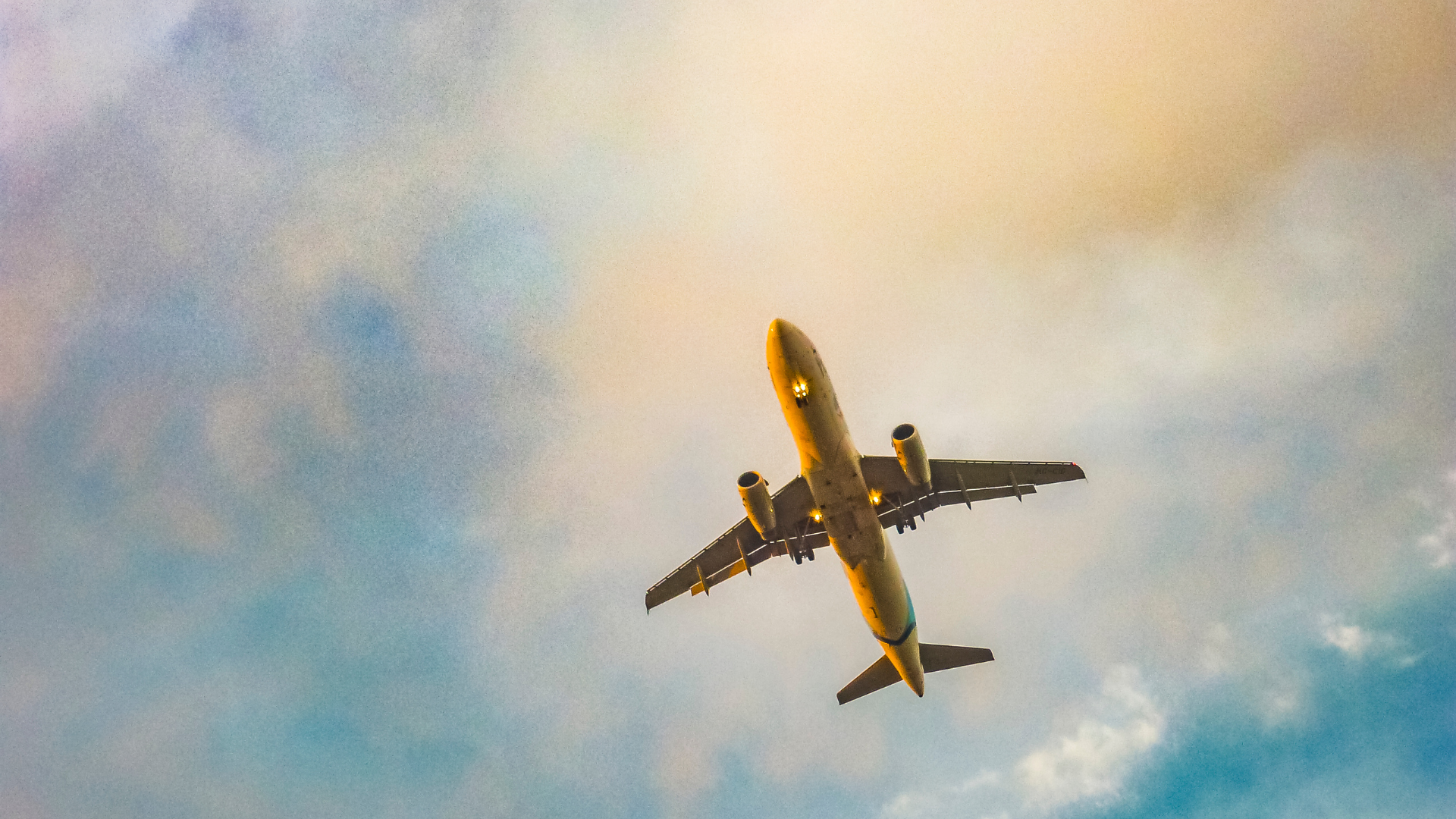 Droit du séjour et de travail des sportifs pros étrangers en France – Cadre juridique – Support DGEF